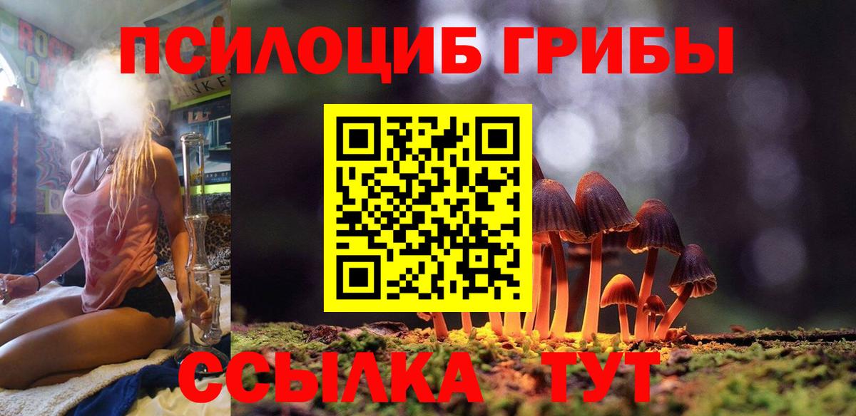Псилоцибиновые грибы Psilocybine cubensis  Вход с VPN  дарнет шоп  Серов 